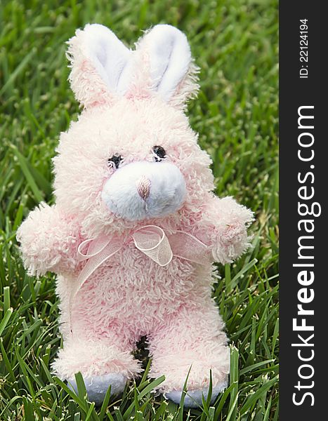 Cute soft Easter bunny with pink bow standing on grass. Cute soft Easter bunny with pink bow standing on grass