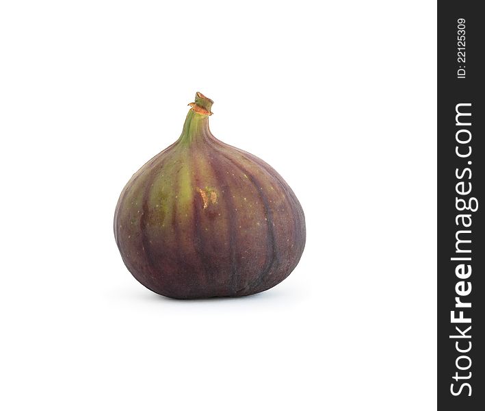 Fig On White