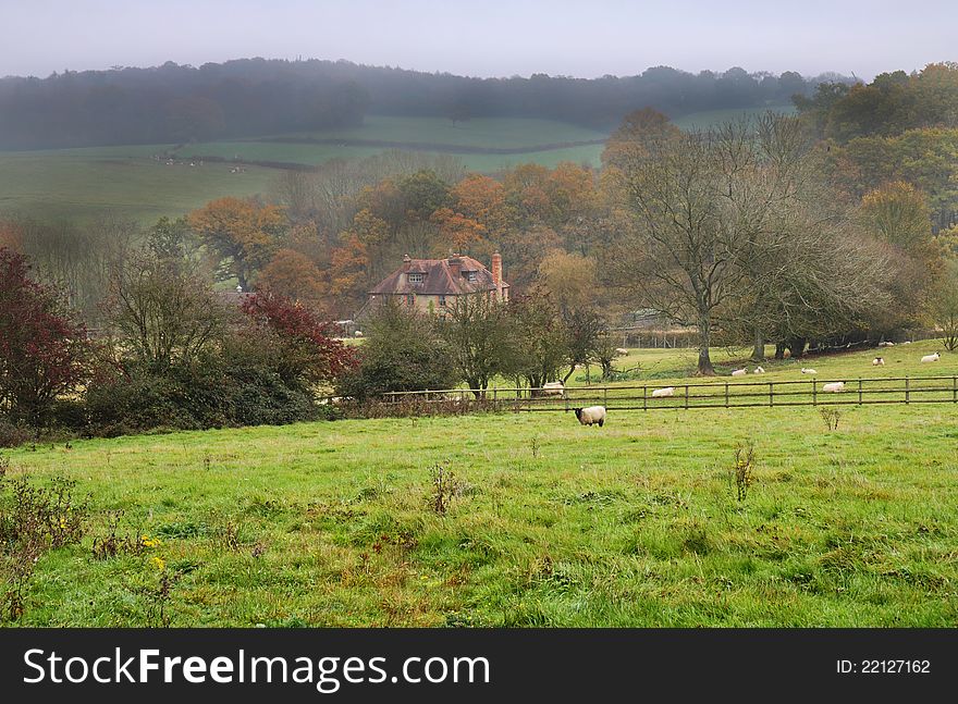 An English Rural Landscape in Autumn with grazing sheep in a Meadow