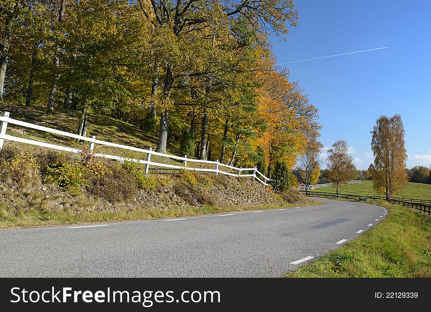 Road's turn in autumn colors. Road's turn in autumn colors