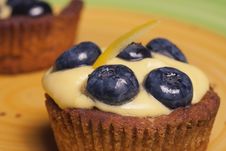 Bilberry Cake Stock Image Bilberry Cake Stock Image