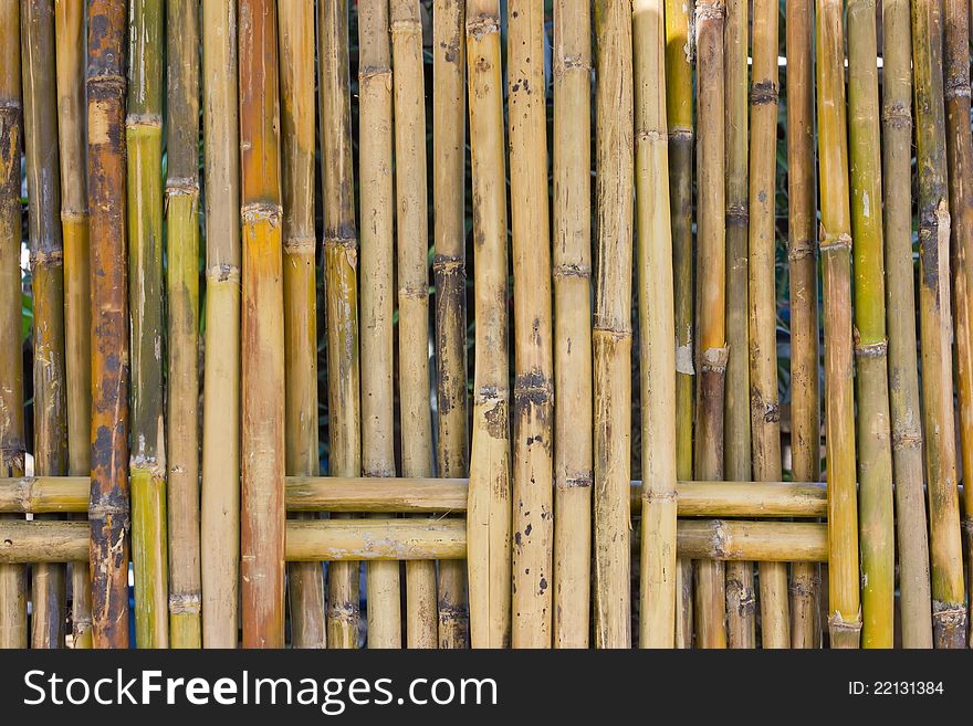 Bamboo fence for demarcation and decorations. Bamboo fence for demarcation and decorations.