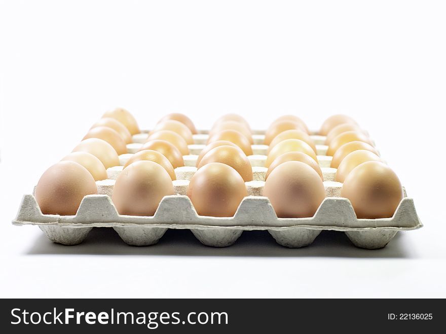 A tray of fresh egg. A tray of fresh egg