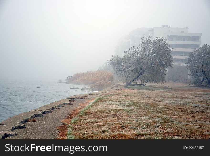 Fog on sea near hotel