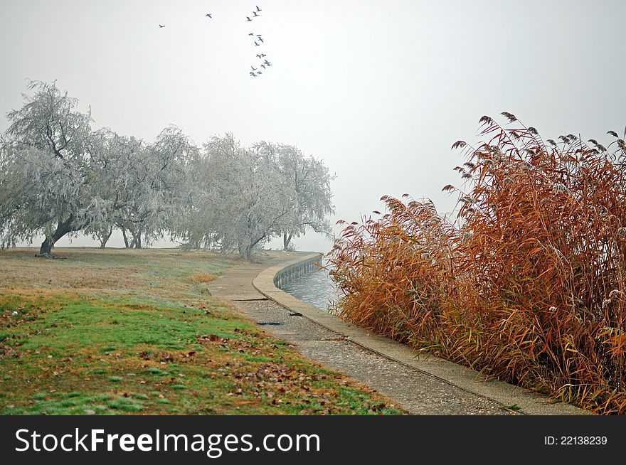 Fog on the sea in morning autumn time