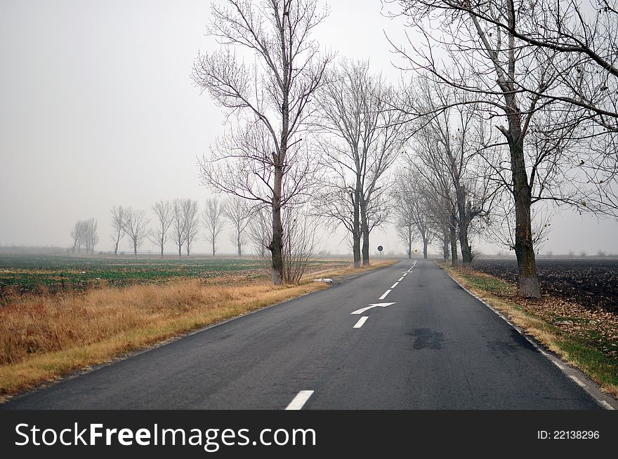 Curved road in foggy autumn morning
