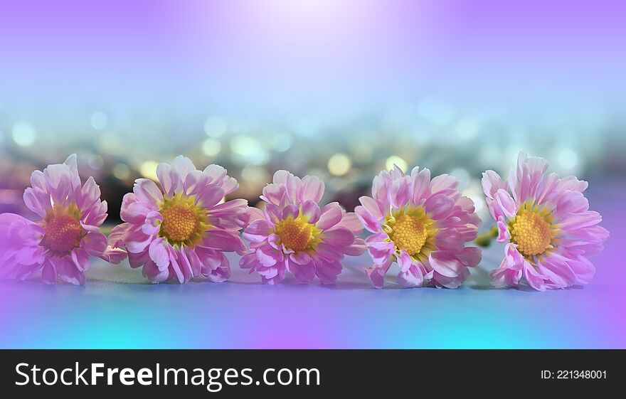 Beautiful Nature Background.Abstract Wallpaper.Celebration,love.Holidays.Summer Flowers.Art Design.Spring Flower.Pink Colors.