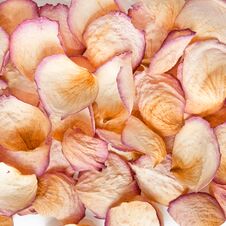 Dried Rose Petals Background Royalty Free Stock Photo