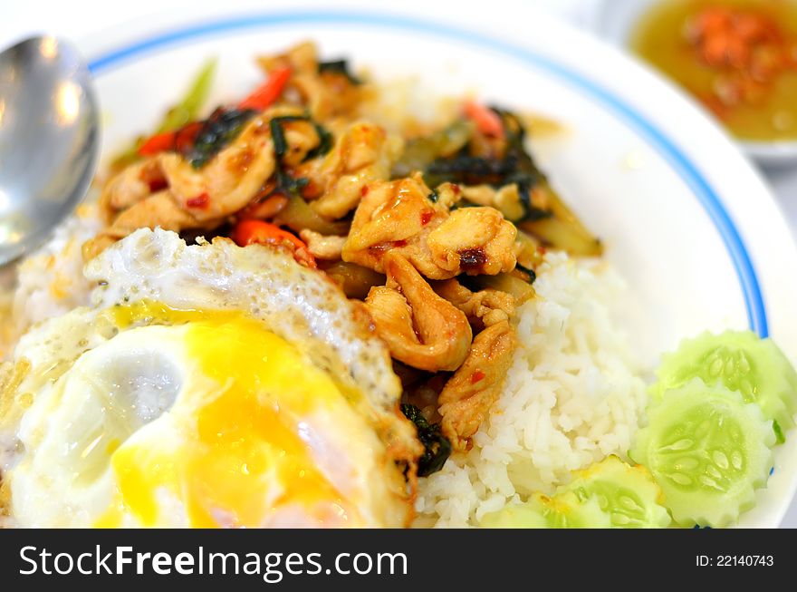 Thai food Rice and basil. Thai food, chicken ,eggs fried with chilli pepper and sweet basil. Thai food Rice and basil. Thai food, chicken ,eggs fried with chilli pepper and sweet basil.