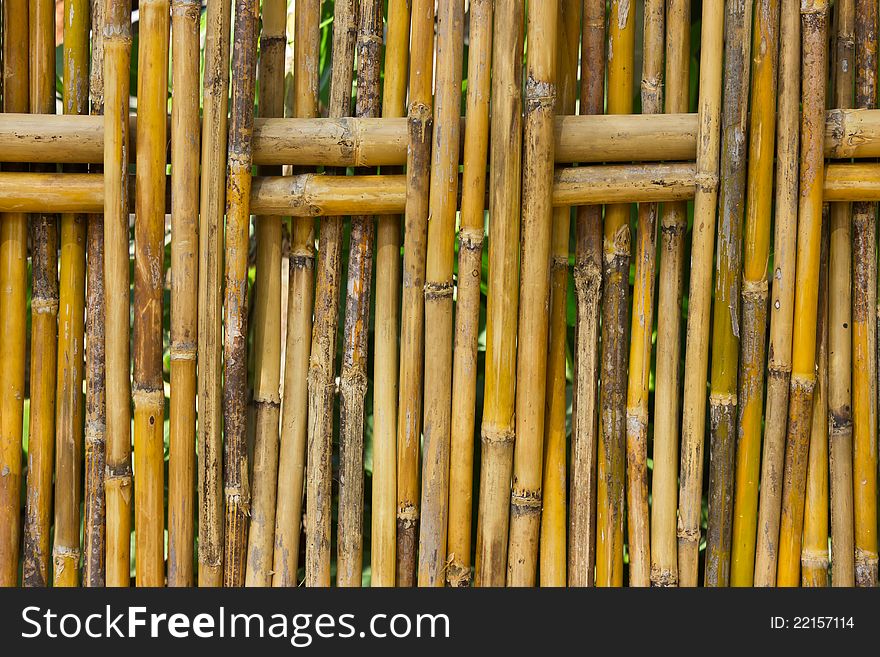 Bamboo fence