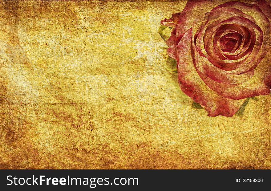 Textured rose on old paper grunge background