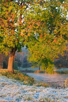 Frosty Morning In Early Autumn On The Lake Royalty Free Stock Images