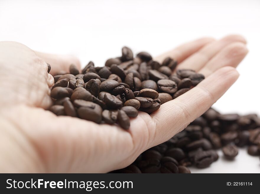 Coffee beans on the hand