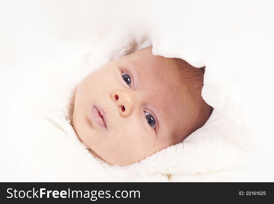 Closeup image of a cute newborn male baby with his eyes wide open looking straight into the camera. Closeup image of a cute newborn male baby with his eyes wide open looking straight into the camera