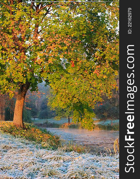 Frosty morning in early autumn on the lake