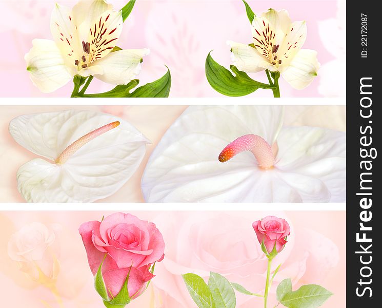 Decorative flower banner