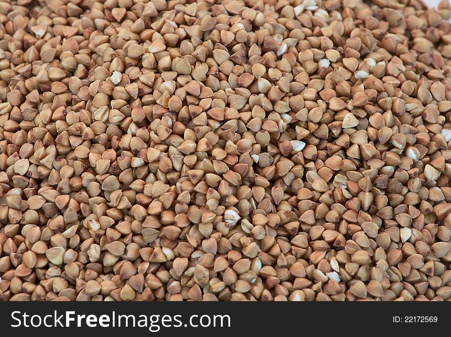 The close-up of buckwheat background. The close-up of buckwheat background