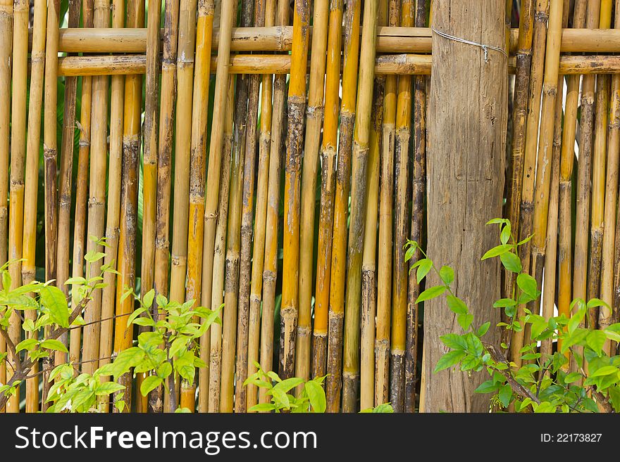 Bamboo fence for demarcation and decorations.