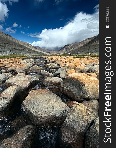 Landscape with river, stones and birds in Himalayas.Ladakh. India. Landscape with river, stones and birds in Himalayas.Ladakh. India