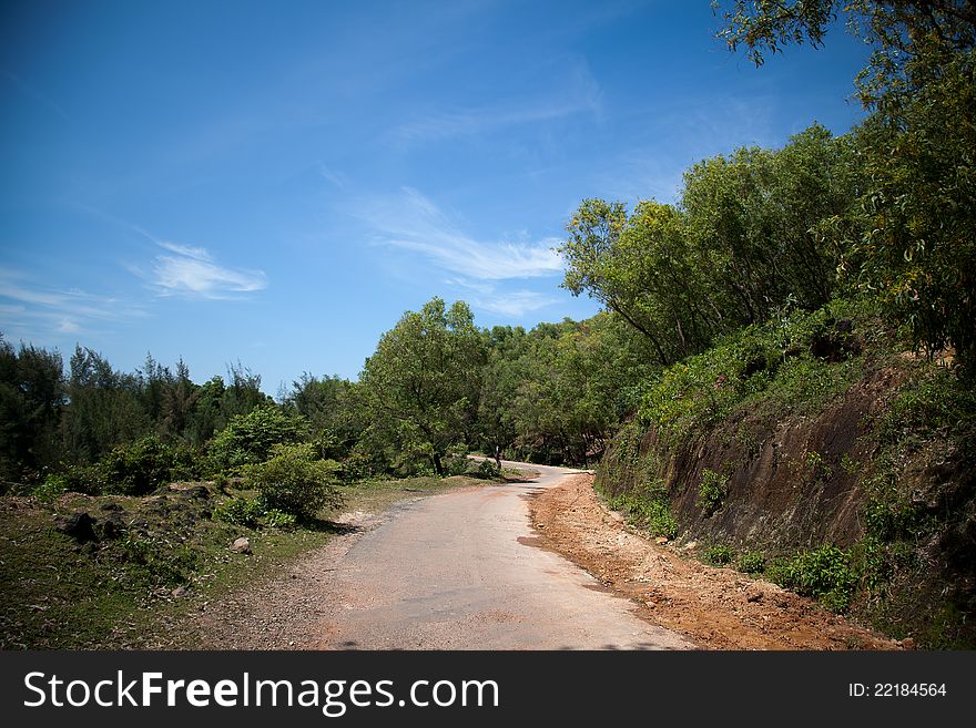 Beautiful view of  road side trees  in forest under blue sky. Beautiful view of  road side trees  in forest under blue sky