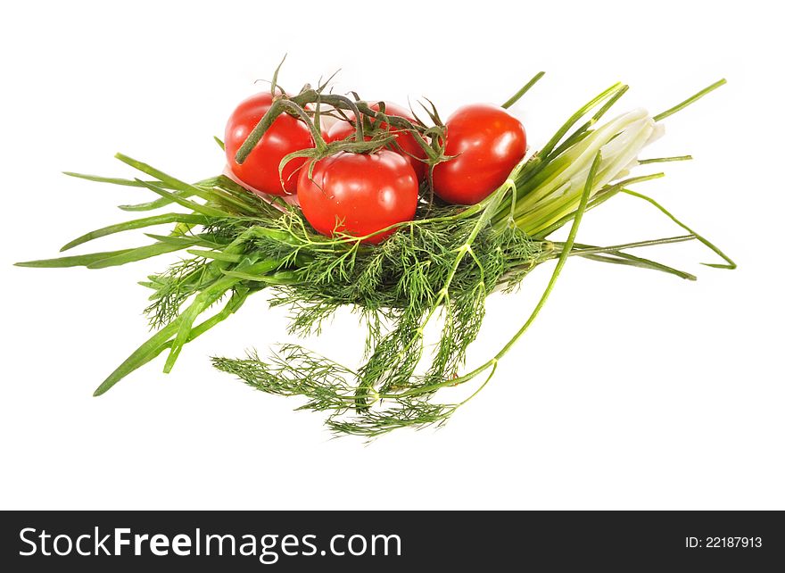 Branches of tomatoes lay on fennel and an onions. Branches of tomatoes lay on fennel and an onions