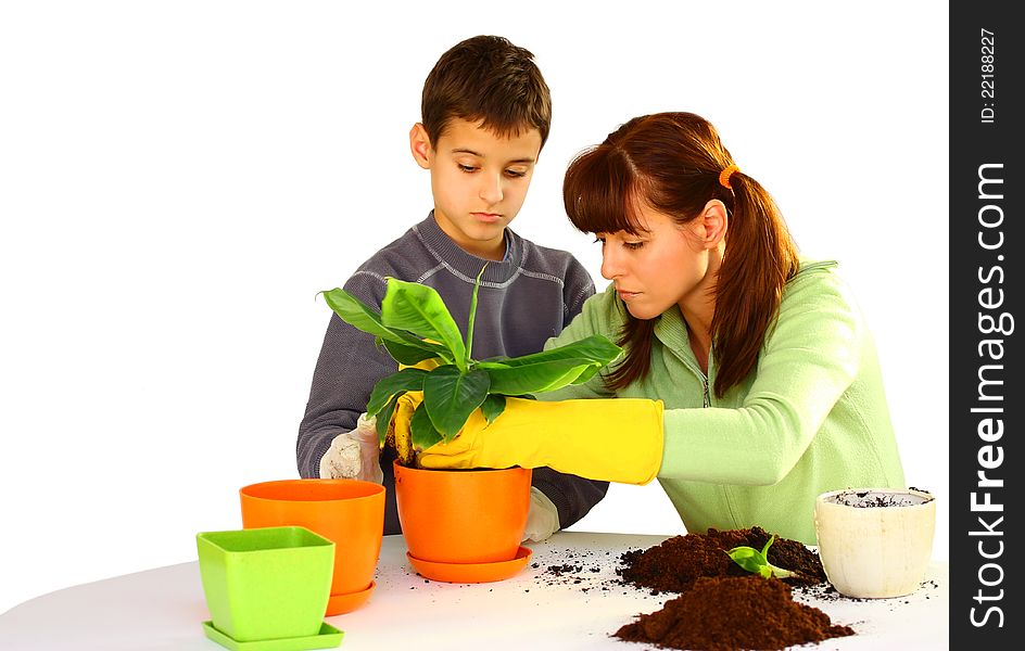 Mother and her son (boy, kid) planting a green flower  isolated on a white background with different color flowerpots