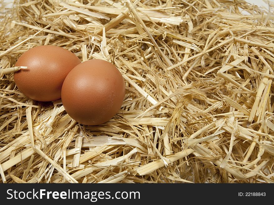 Freshly laid eggs at a poultry farm. Freshly laid eggs at a poultry farm