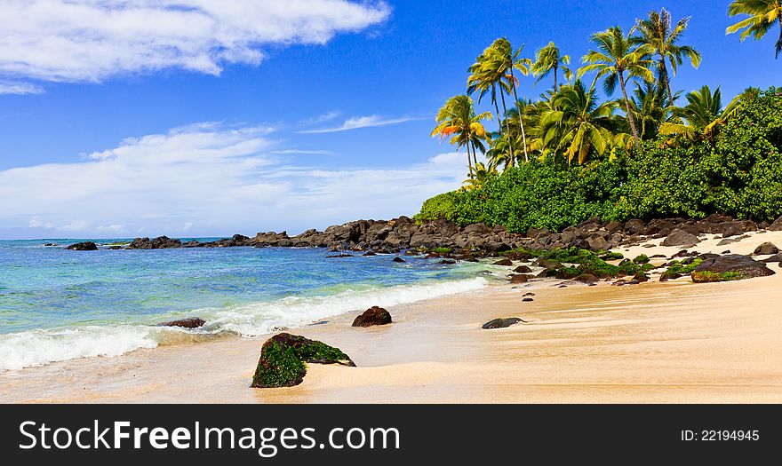 Tropical Beach With Palm Trees and rocks. Tropical Beach With Palm Trees and rocks