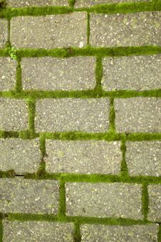 Green Moss On Brick Pathway Stock Photos Green Moss On Brick Pathway Stock Photos