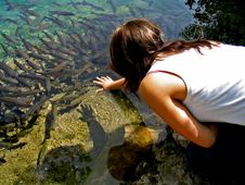 To Catch A Lot Of Fish Royalty Free Stock Photo To Catch A Lot Of Fish Royalty Free Stock Photo