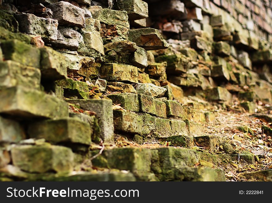 Destructed brick wall with moss. Autumn. Perspective.