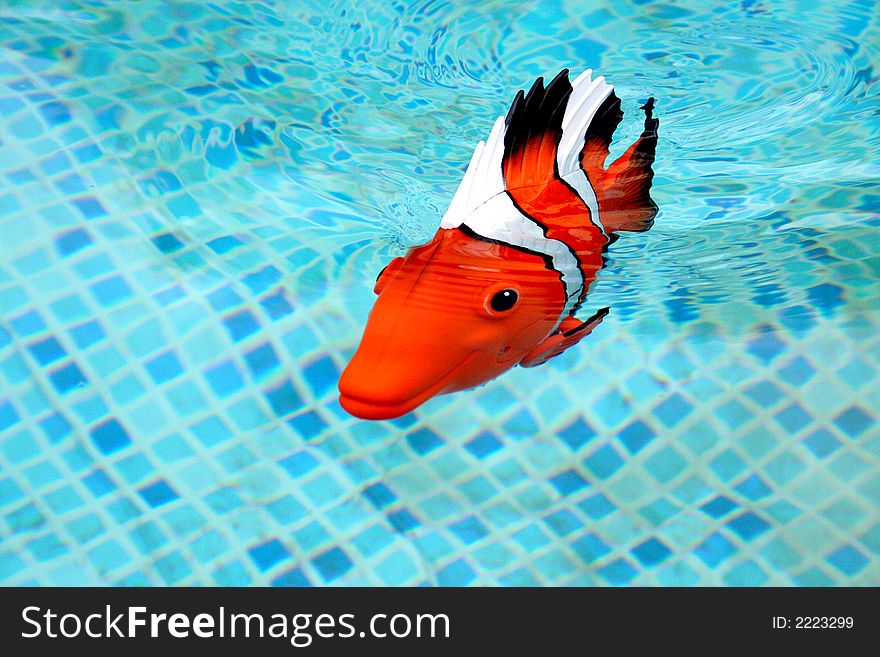 A battery powered fake fish swimming in a pool.