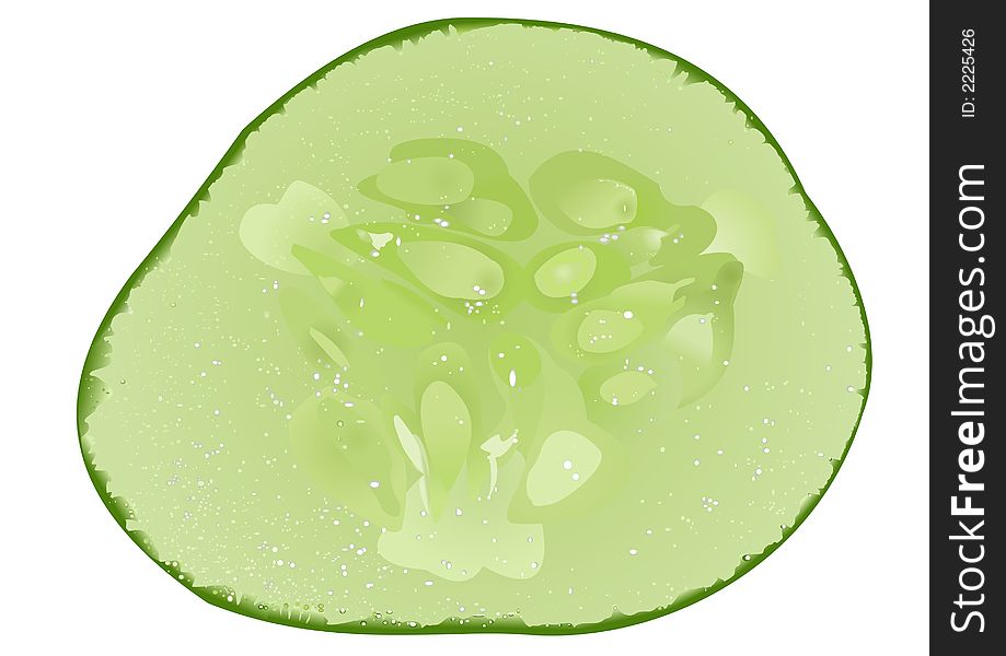 The drawn image of a slice of a cucumber