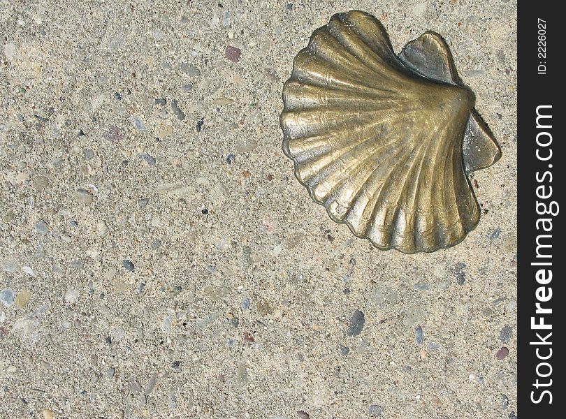 Brass Seashell