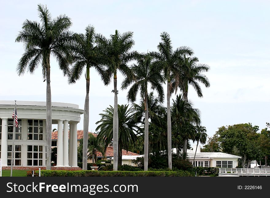 A tropical mansion with palm trees in front. A tropical mansion with palm trees in front