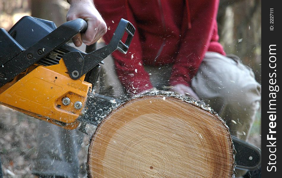 Tree cutting with saw outside. Tree cutting with saw outside