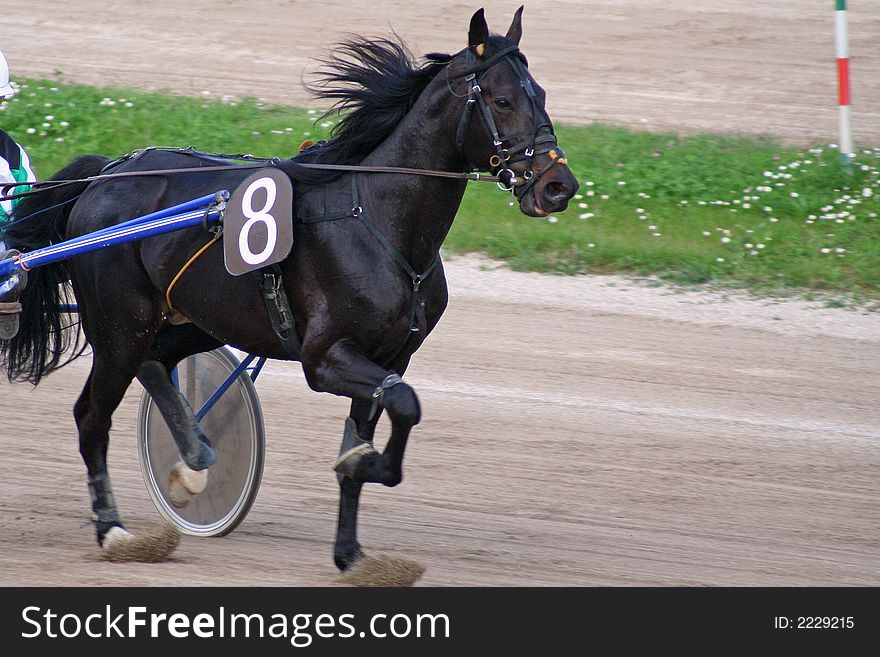 Some beautiful photos of a grand prix in Italy. Some beautiful photos of a grand prix in Italy