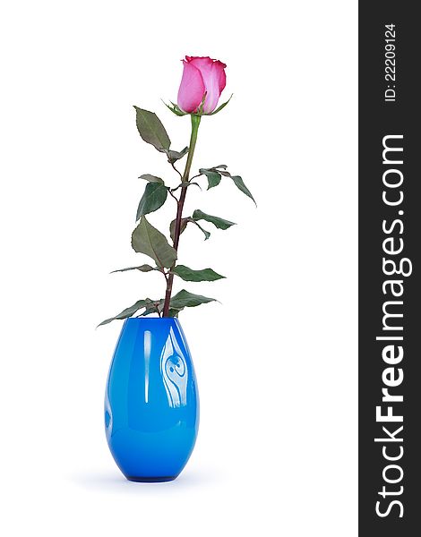 Red rose with leaves in nice blue glass vase.  on white with clipping path. Red rose with leaves in nice blue glass vase.  on white with clipping path