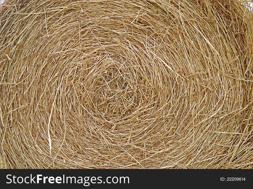 Straw in the farm for sheep