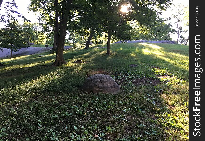 Sunrise in Summer at Central Park in Manhattan in New York, NY.