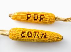 Popcorn Royalty Free Stock Images Popcorn Royalty Free Stock Images