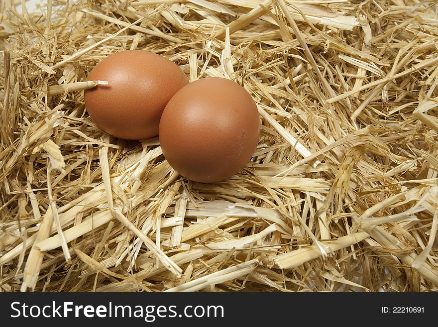 Freshly laid eggs at a poultry farm. Freshly laid eggs at a poultry farm