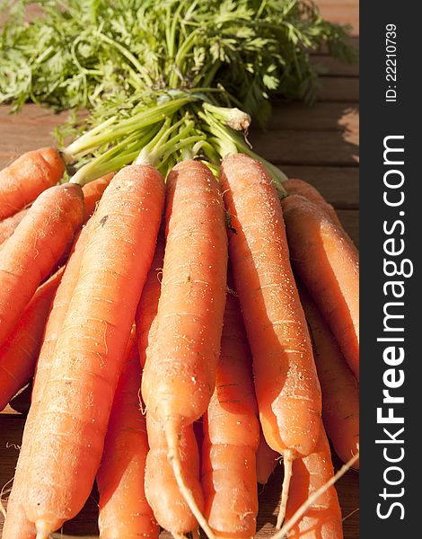 Freshly picked carrots and fresh
