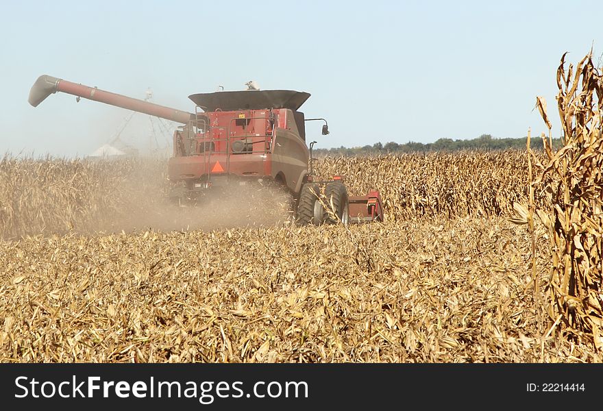Harvesting A Corn Field