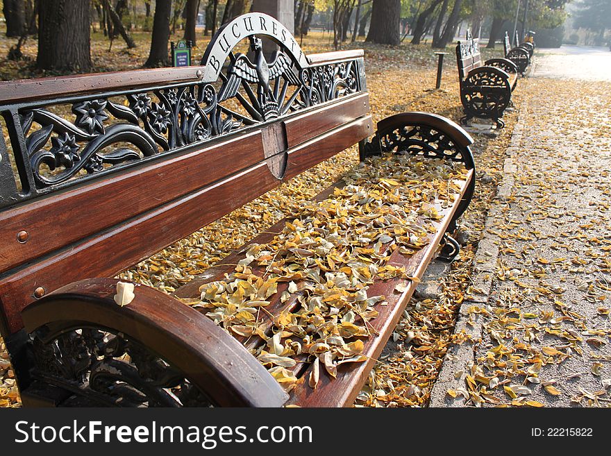 bench in the park with dried leaves. bench in the park with dried leaves
