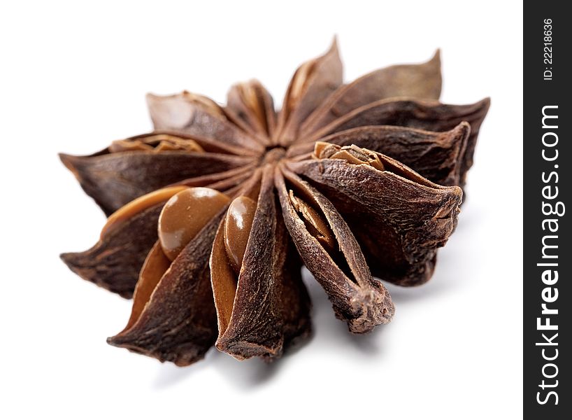 Dried anisetree spice over white background with shadow