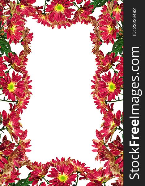 Flowers frame isolated on a white background