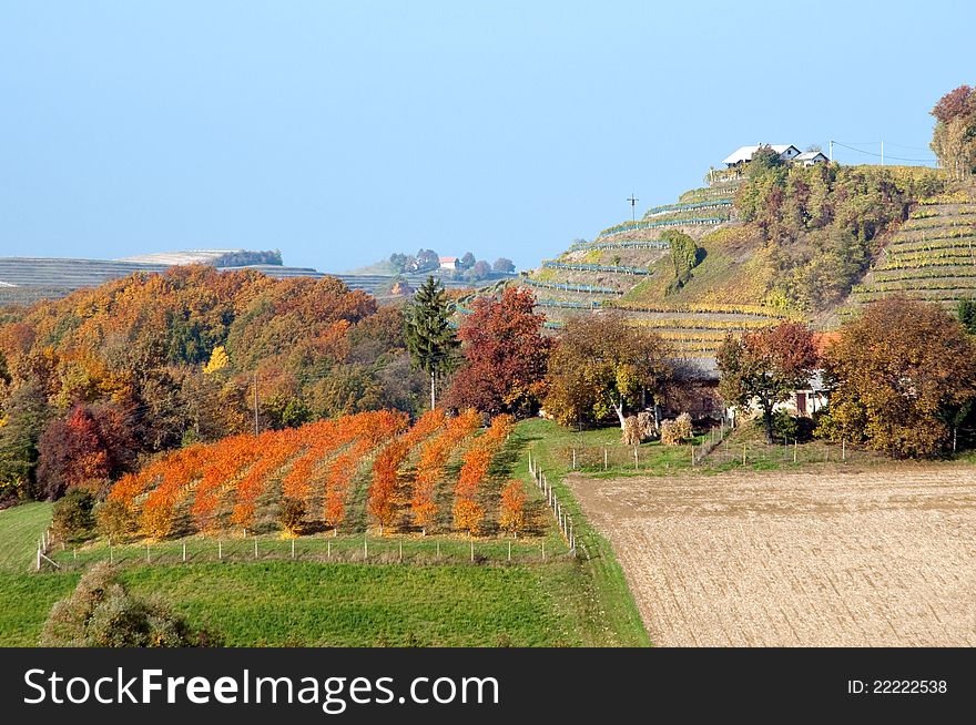 Wineyards And Hills Landscape At Robadje - Croatia