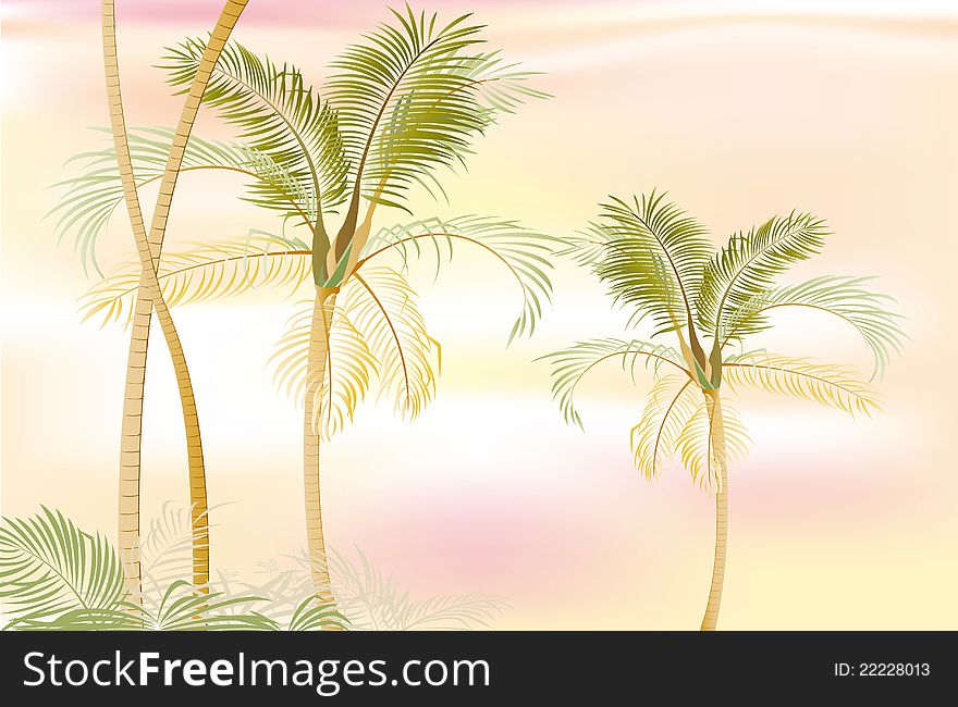 Palm trees in the forest. Beautiful in the summer. Palm trees in the forest. Beautiful in the summer