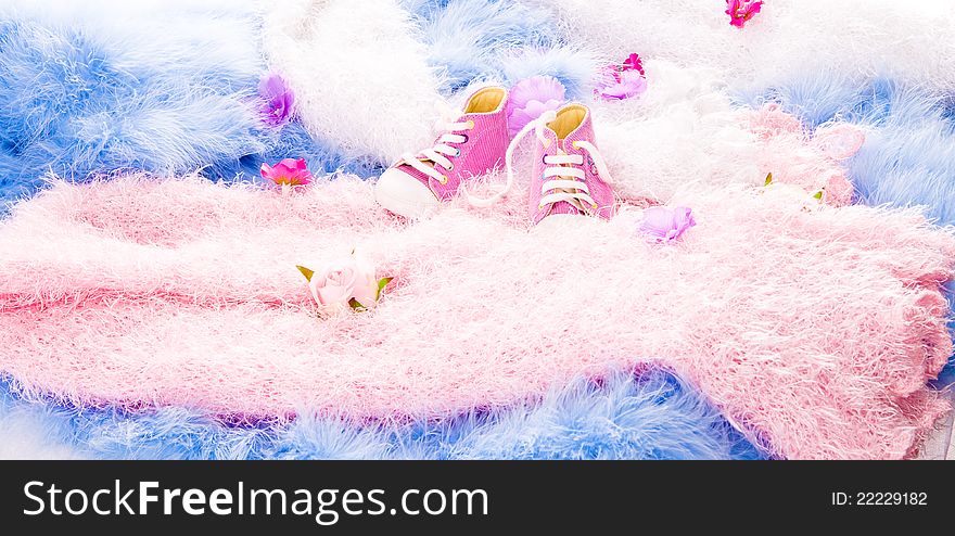 In multi-colored furry coatings are flowers and Baby Shoes